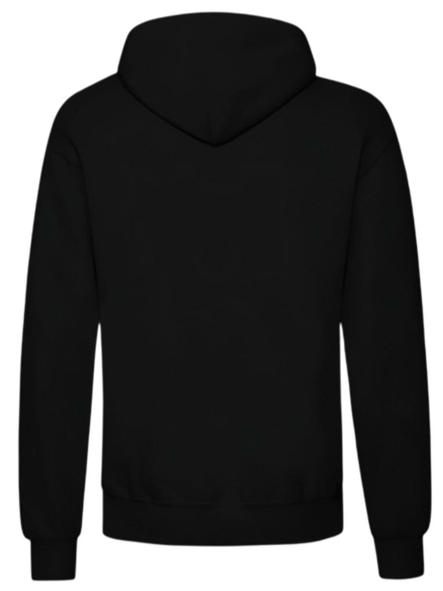 Romulus basic hoodie