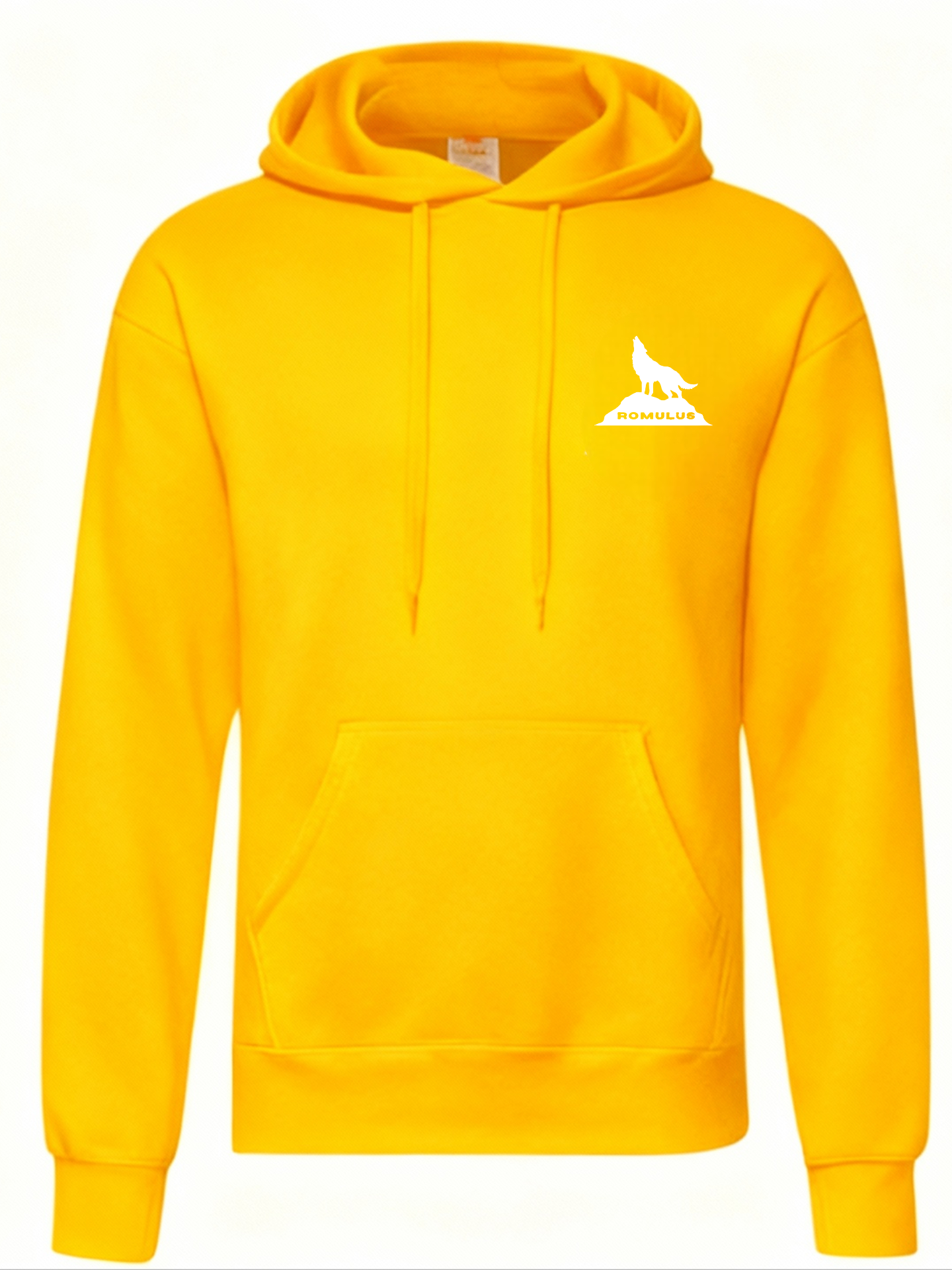 Romulus basic hoodie