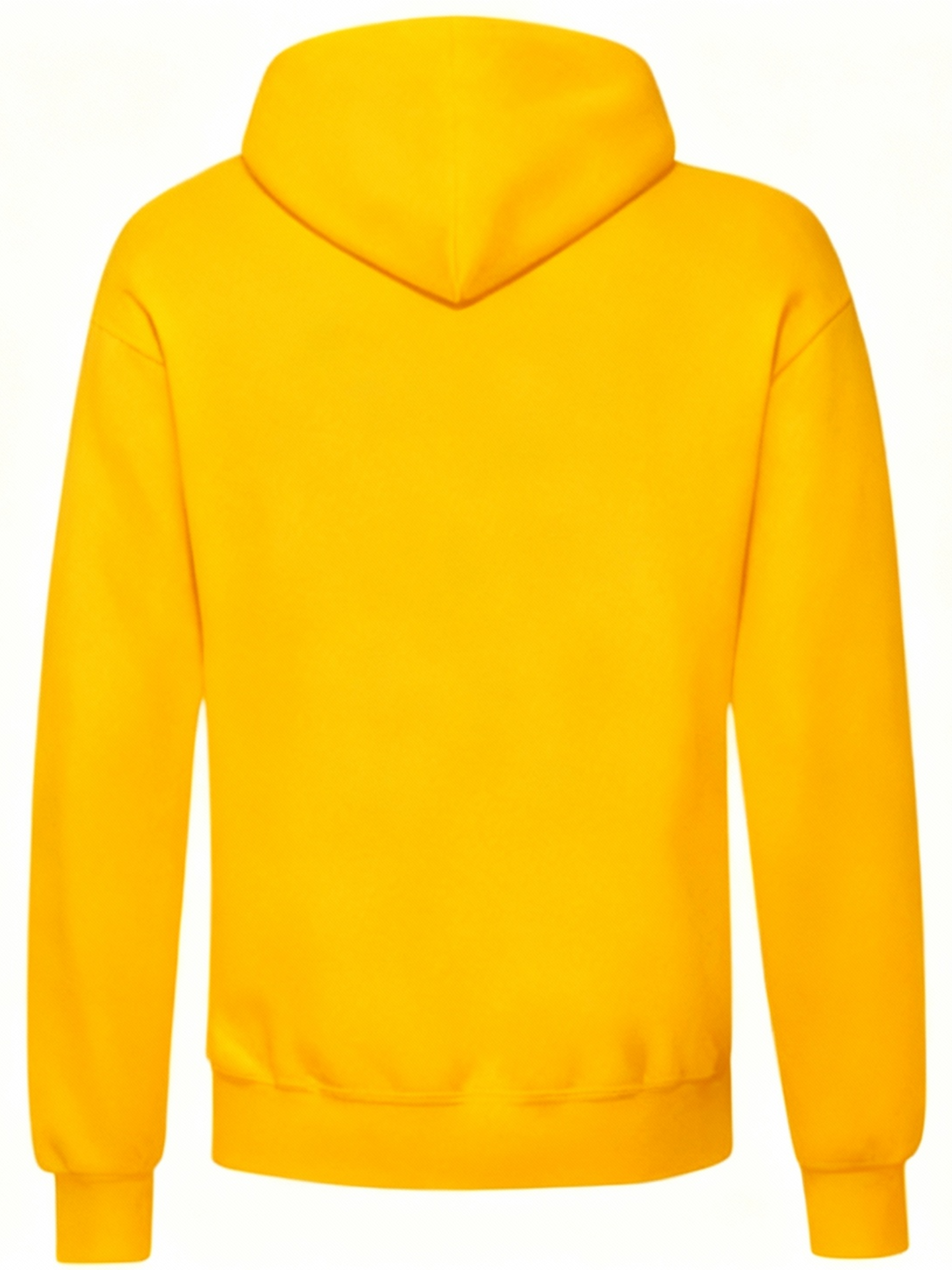 Romulus basic hoodie