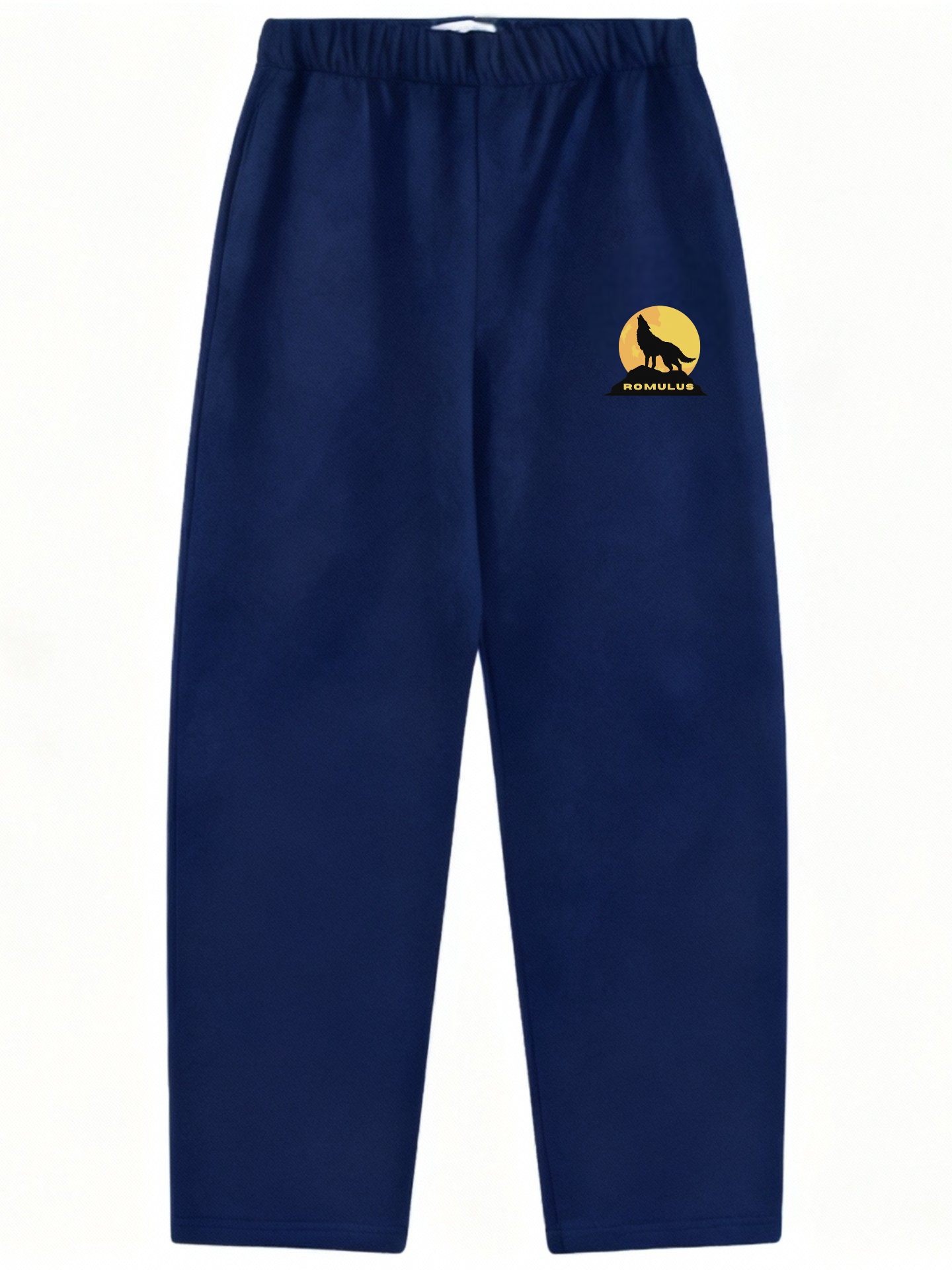Romulus graphic sweatpants